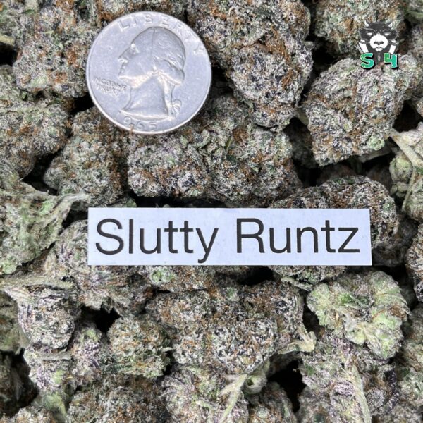 Slutty Runtz - F2 - Image 3
