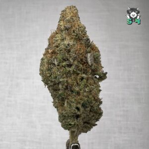 Durban Clementine - D9