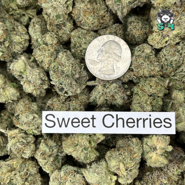 Sweet Cherries - A20 - Image 3