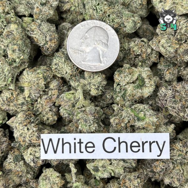 White Cherry - B17 - Image 3