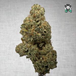 Luis OG X Pine - F5
