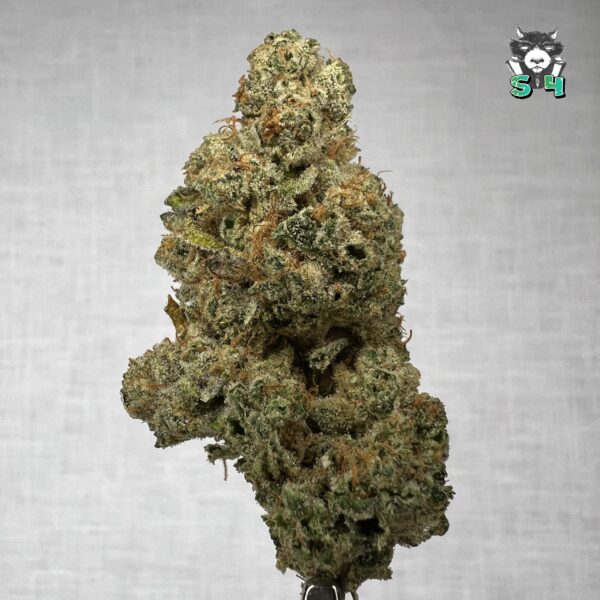 Luis OG X Pine - F5