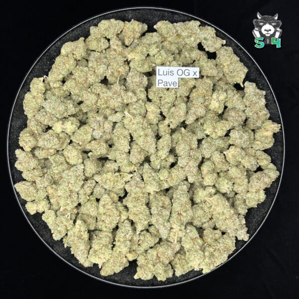 Luis OG X Pine - F5 - Image 2