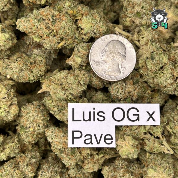 Luis OG X Pine - F5 - Image 3