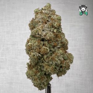 Mango Haze - S23