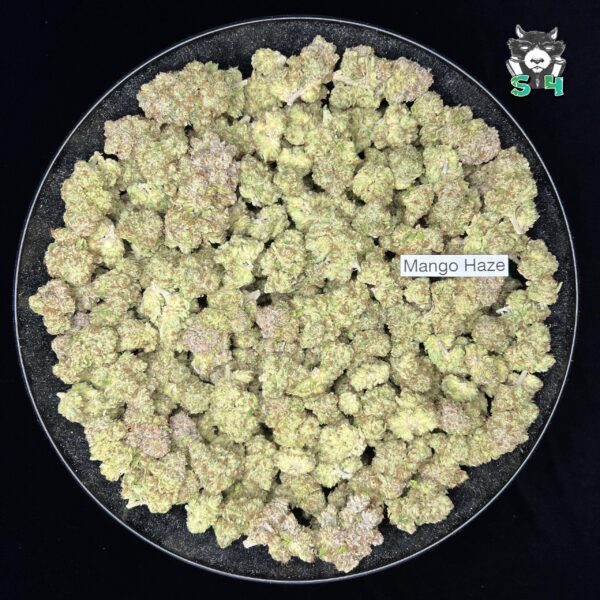 Mango Haze - S23 - Image 2