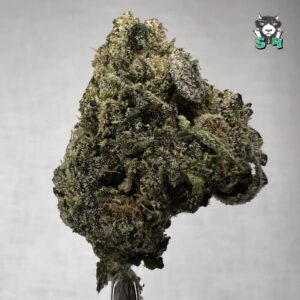Candy Apple - F2