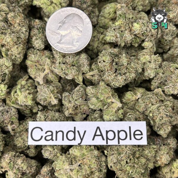 Candy Apple - F2 - Image 3