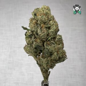 Fire OG - M15