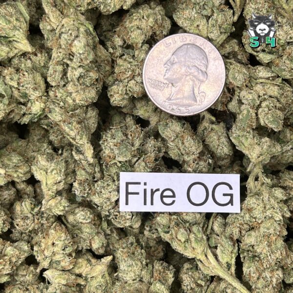 Fire OG - M15 - Image 3