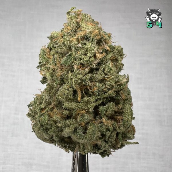 Blueberry Haze - D6