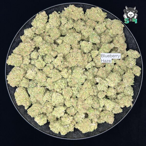 Blueberry Haze - D6 - Image 2