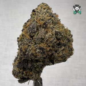 Sherbert Fun - S8
