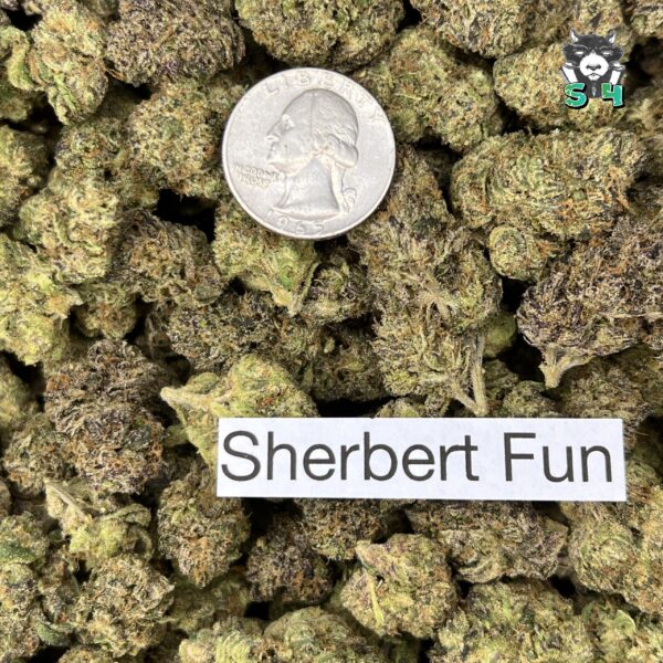 Sherbert Fun - S8 - Image 3