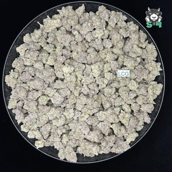 Lemon Cherry Gelato - H55 - Image 2