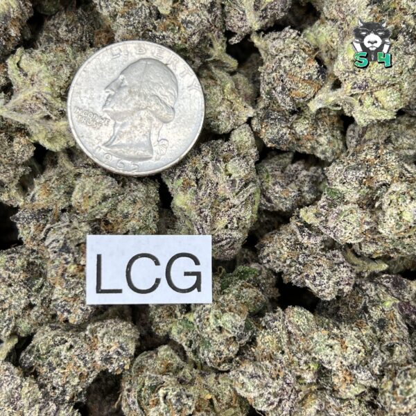 Lemon Cherry Gelato - H55 - Image 3
