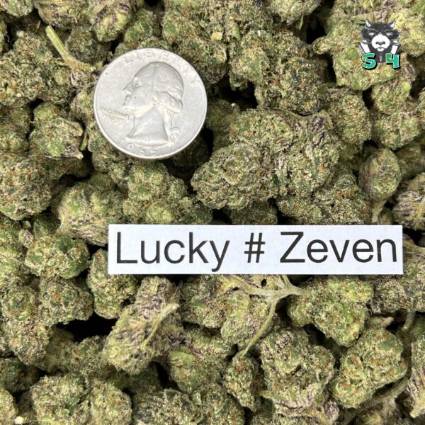 Lucky Number 7 - E4 - Image 3