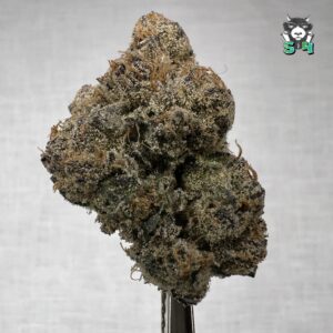 Banana Runtz - G5