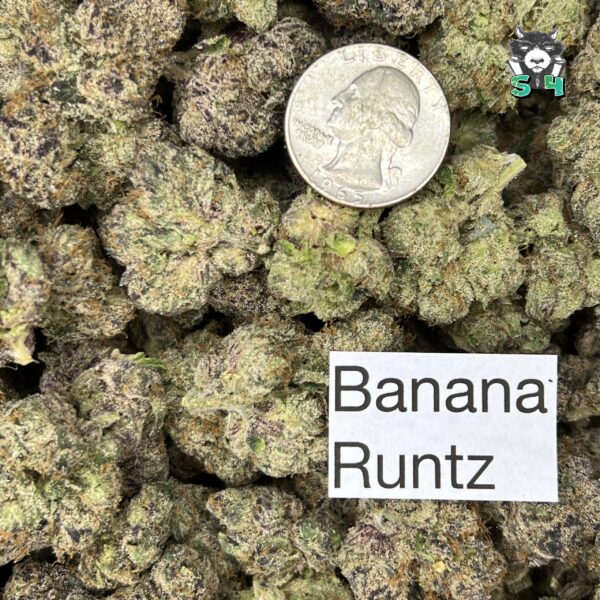Banana Runtz - G5 - Image 3