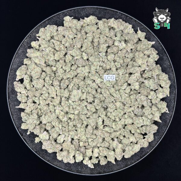Lemon Cherry Gelato - T77 - Image 2