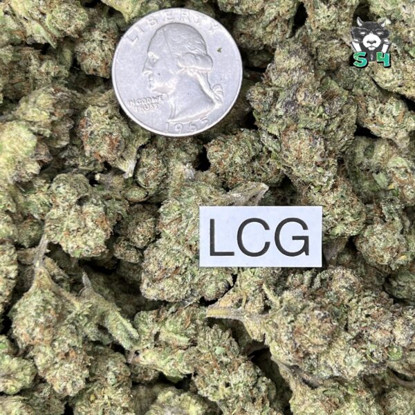 Lemon Cherry Gelato - T77 - Image 3