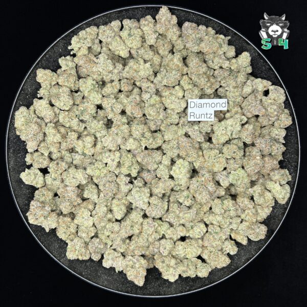 Diamond Runtz - B17 - Image 2