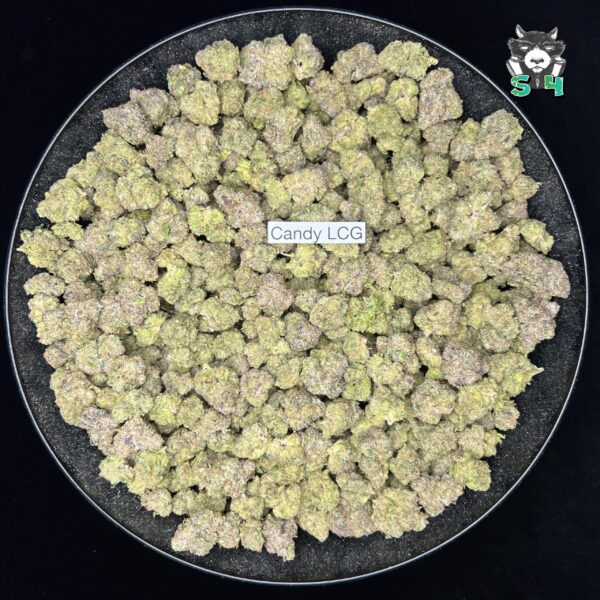 Candy Lemon Cherry Gelato - P7 - Image 2