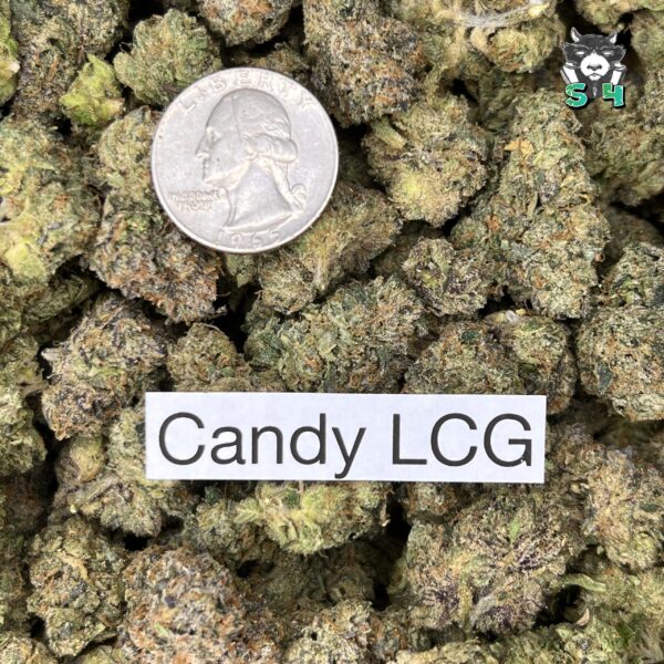 Candy Lemon Cherry Gelato - P7 - Image 3