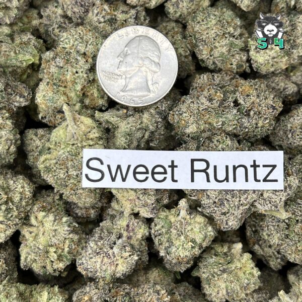 Sweet Runtz - P10 - Image 3