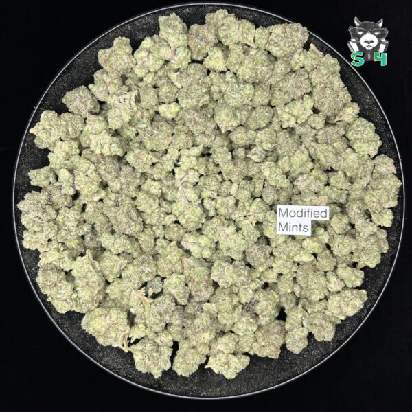 Modified Mints - D10 - Image 2