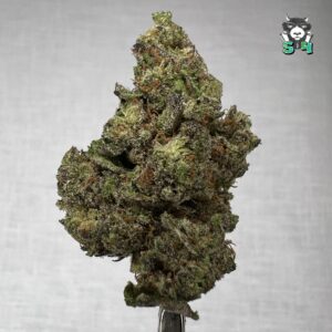 Lilac Mints - D10