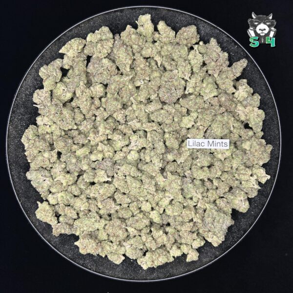 Lilac Mints - D10 - Image 2