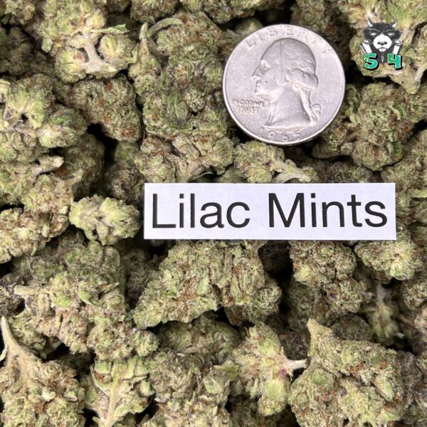 Lilac Mints - D10 - Image 3