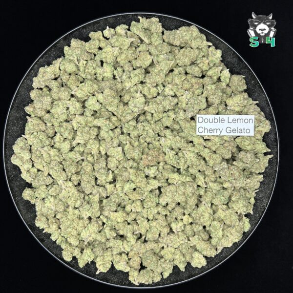 Double Lemon Cherry Gelato - T77 - Image 2