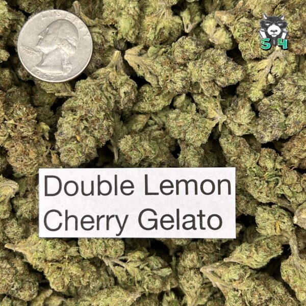 Double Lemon Cherry Gelato - T77 - Image 3