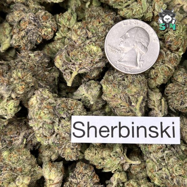 Sherbinski - L4 - Image 3