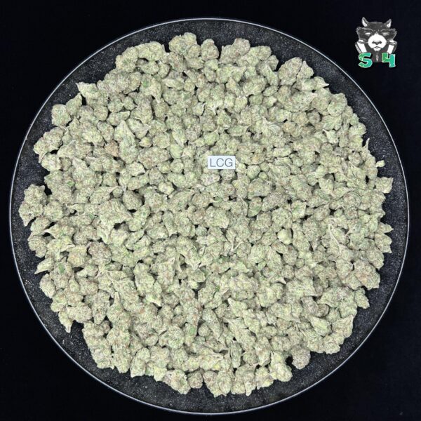 Lemon Cherry Gelato - L4 - Image 2