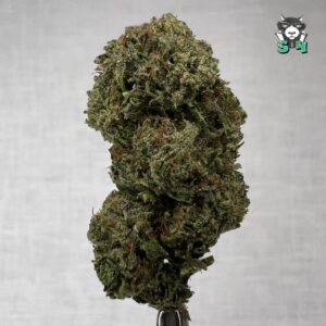 Garlic Cookies - L4