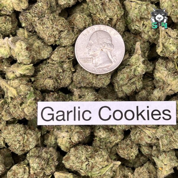 Garlic Cookies - L4 - Image 3