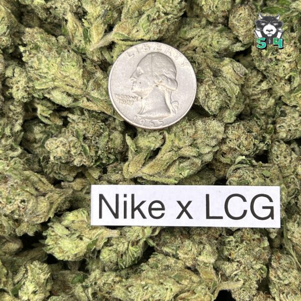 Nike X LCG - L4 - Image 3