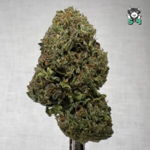 White Runtz - L4