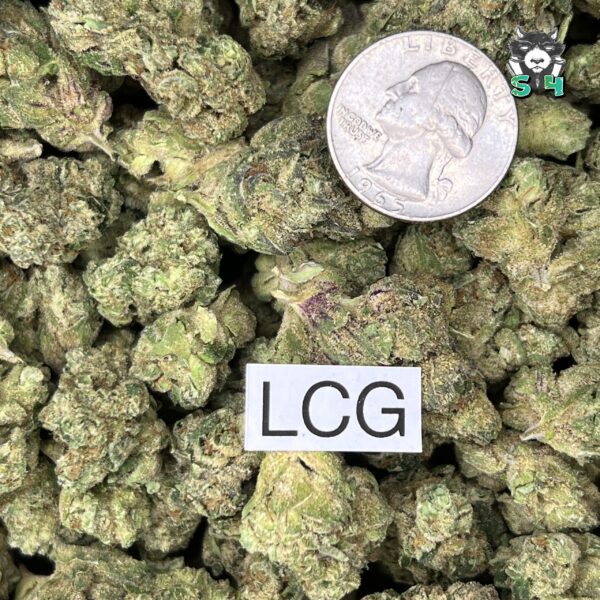 Lemon Cherry Gelato - D14 - Image 3