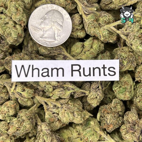 Wham Runtz - T5 - Image 3