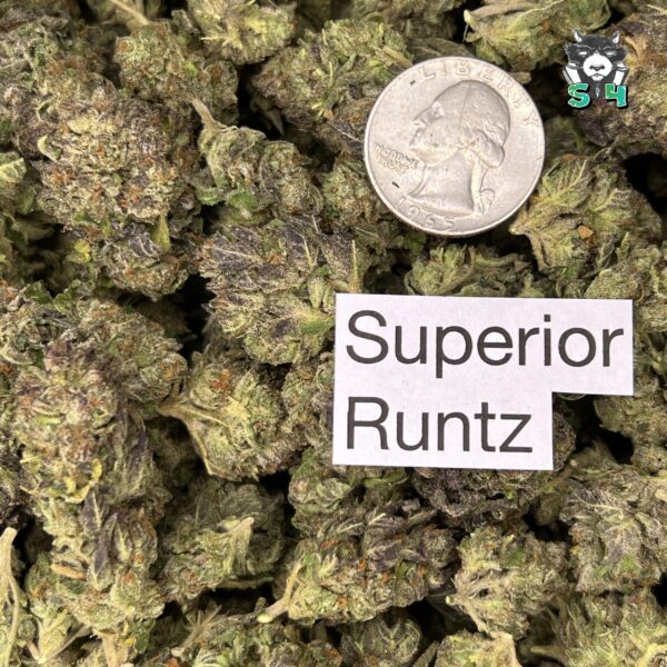 Superior Runtz - F2 - Image 3