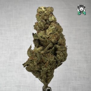 Ice Cream Cake - F2