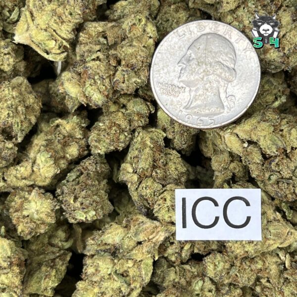 Ice Cream Cake - F2 - Image 3