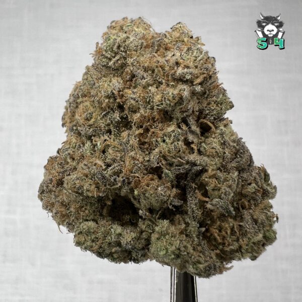 Blue Tint - F2