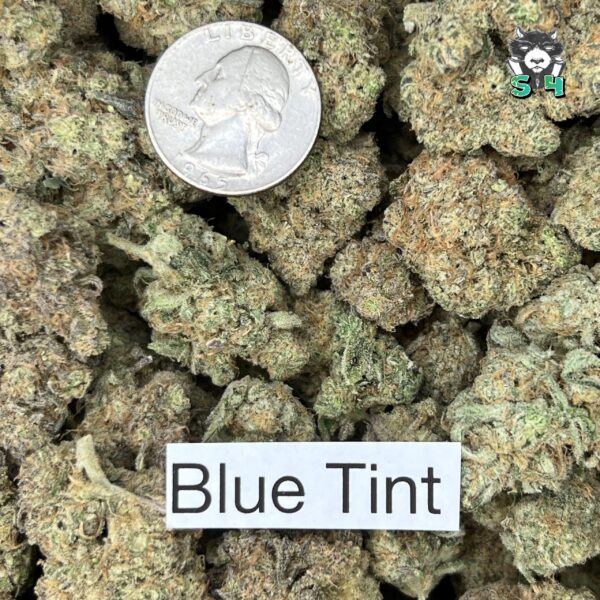Blue Tint - F2 - Image 3