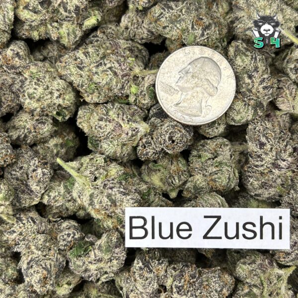Blue Zushi - Z4 - Image 3