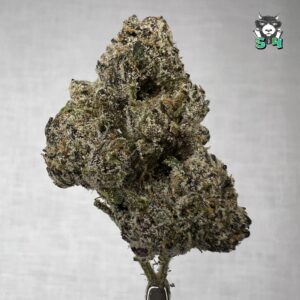Double Candy - D3